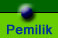 Pemilik